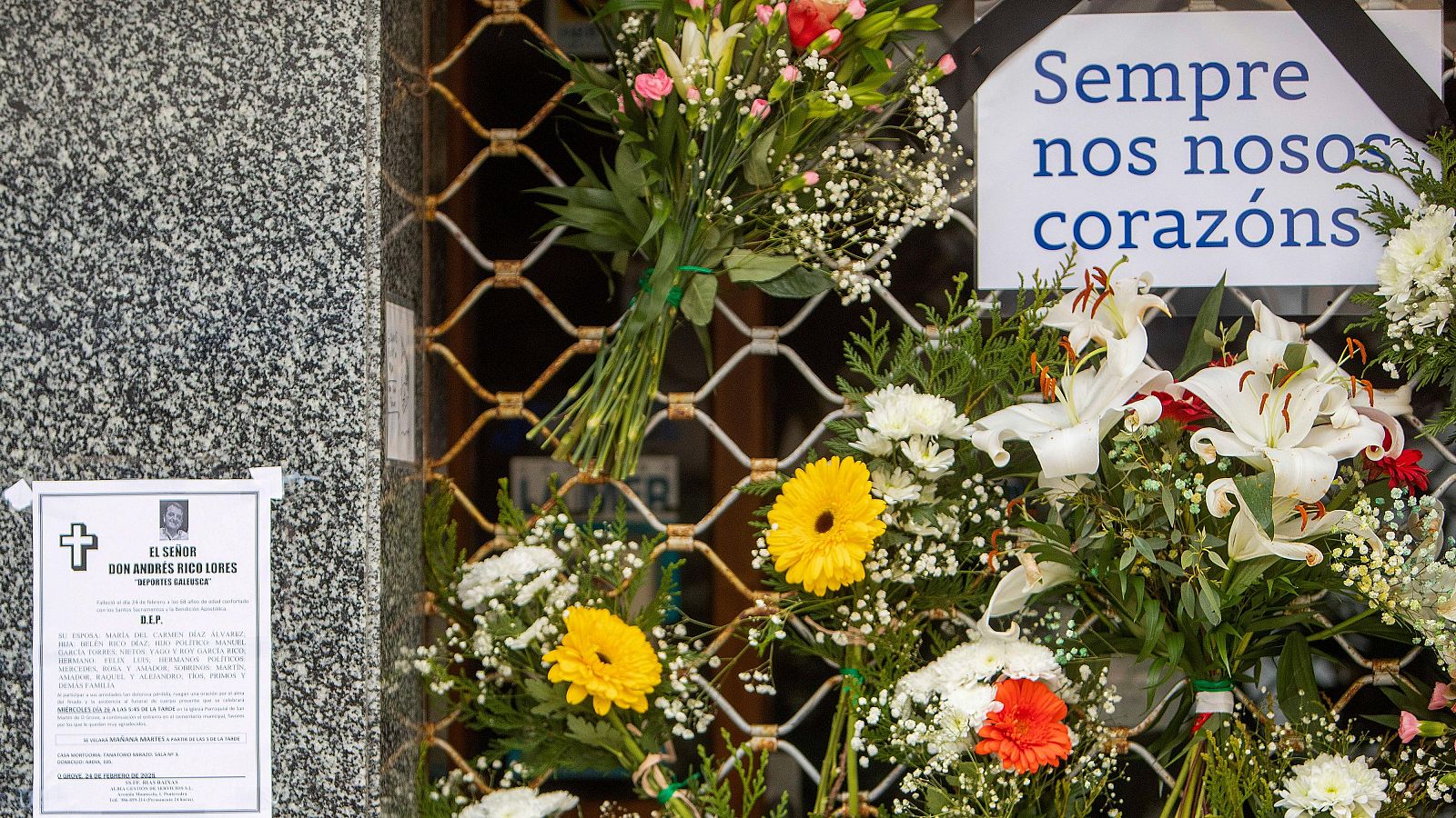 Los colegios de árbitros denuncian un aumento en las agresiones que sufren - Telediario 1 | Ver