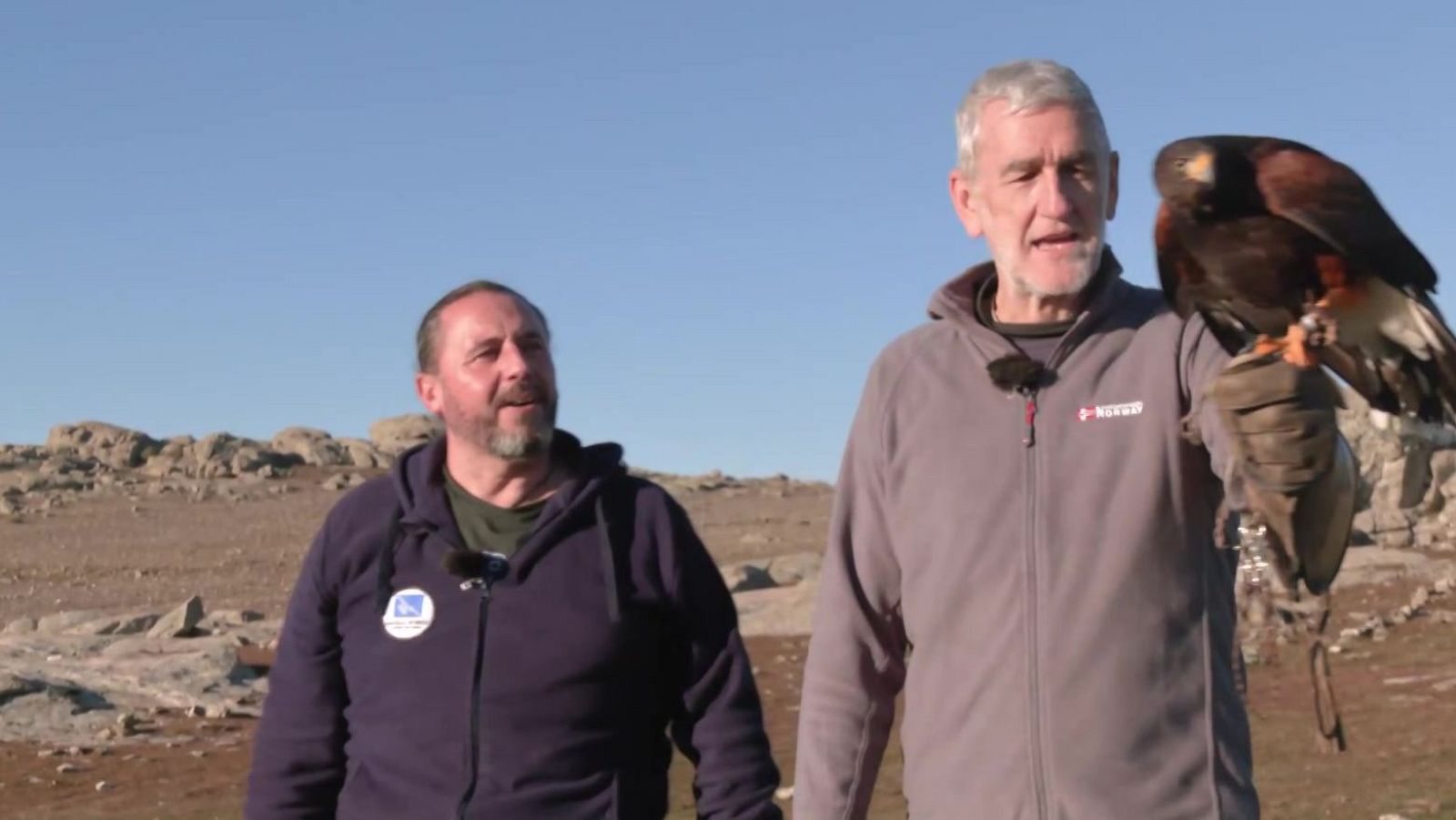 Cetrería con Itu | Ver