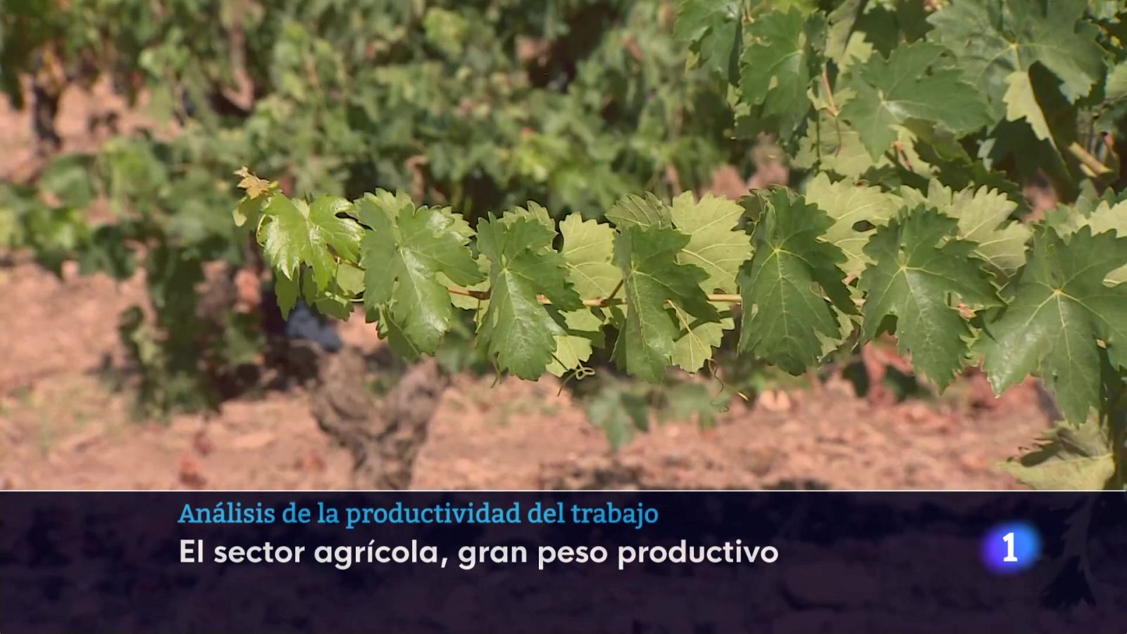 Informativo Telerioja 2 - 25-02-2025 - ver ahora | Ver