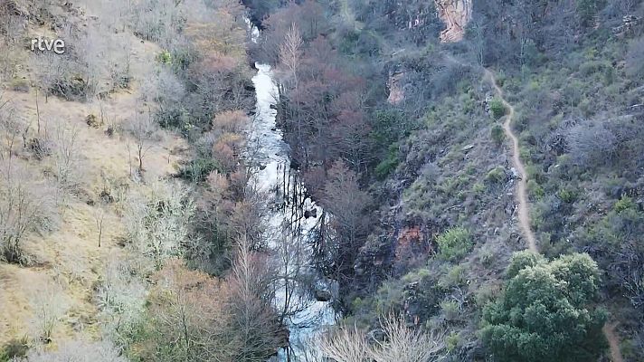 Universo UNED - UNED - 28/02/25