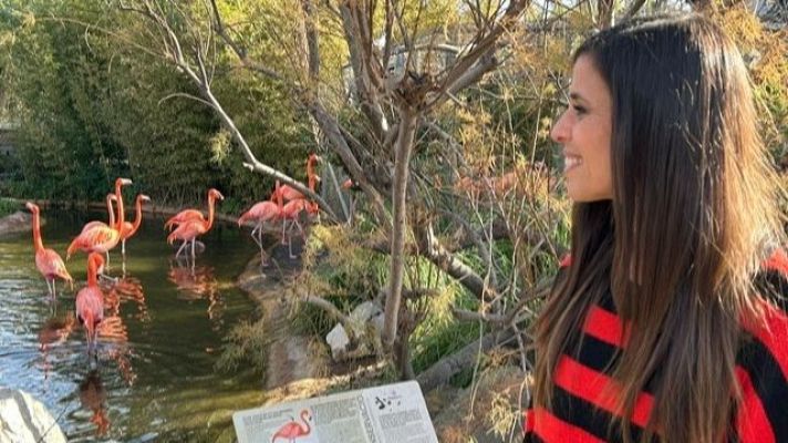 Para todos La 2 - Para todos La 2 - 01/03/25