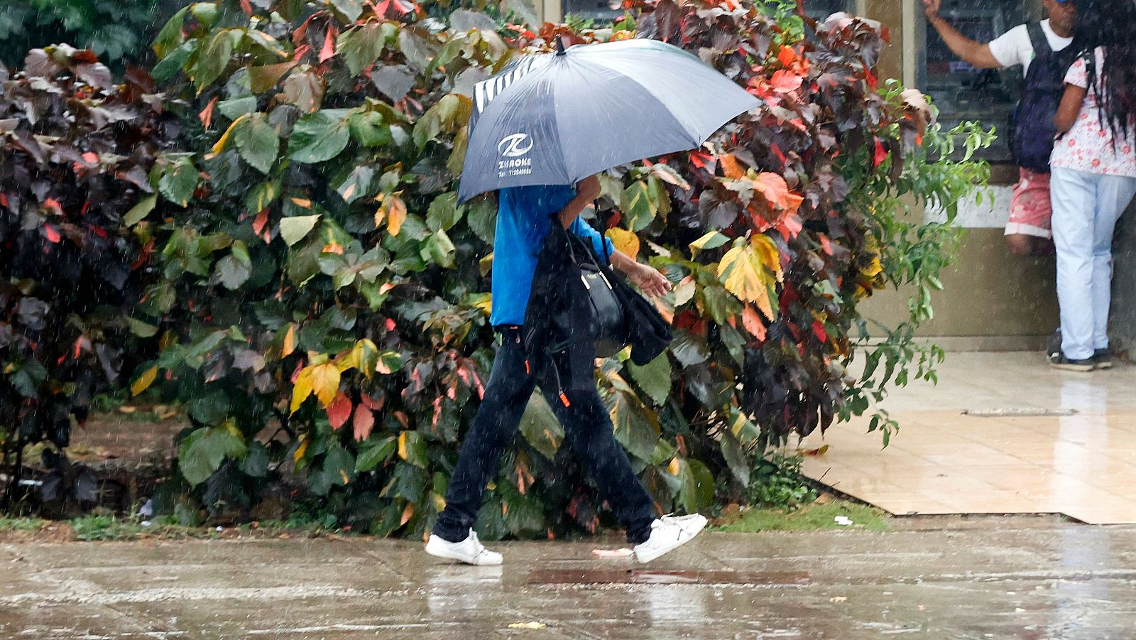 Lluvias generalizadas y cielos nubosos - El tiempo | Ver