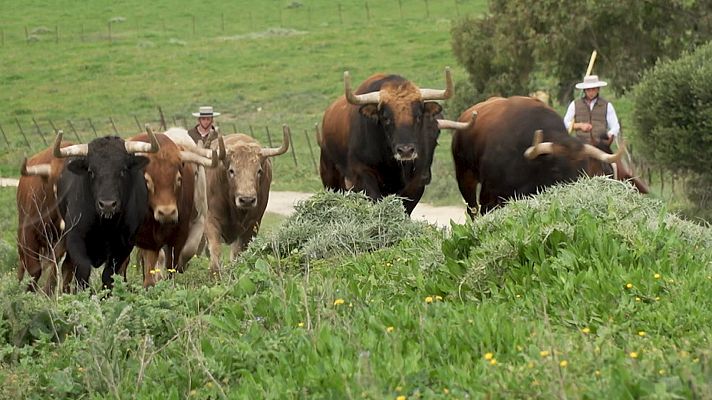 Tendido cero - Tendido Cero - 01/03/25