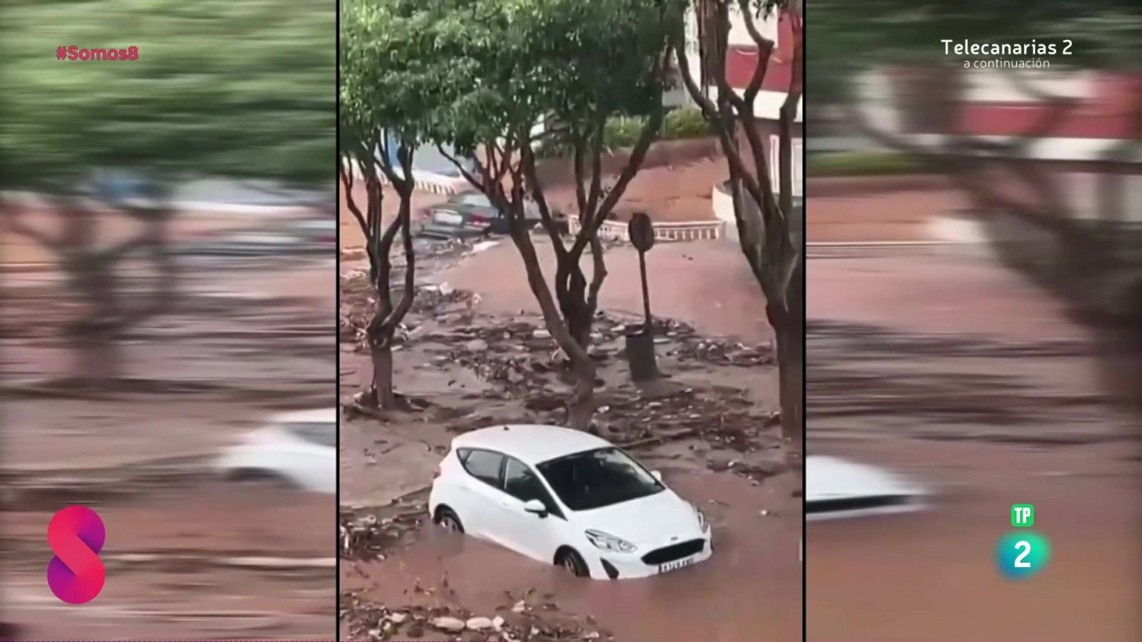 Somos 8 - 04/03/2025 - Somos 8 | Ver