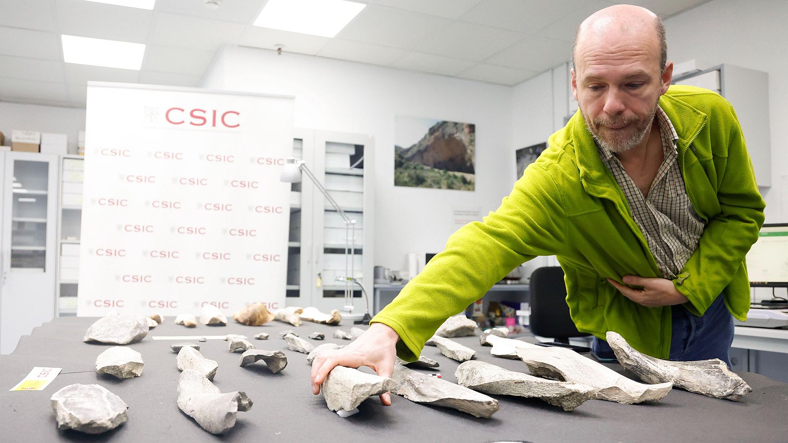 Un estudio muestra las primeras hachas de hueso de la historia - La tarde en 24h | Ver