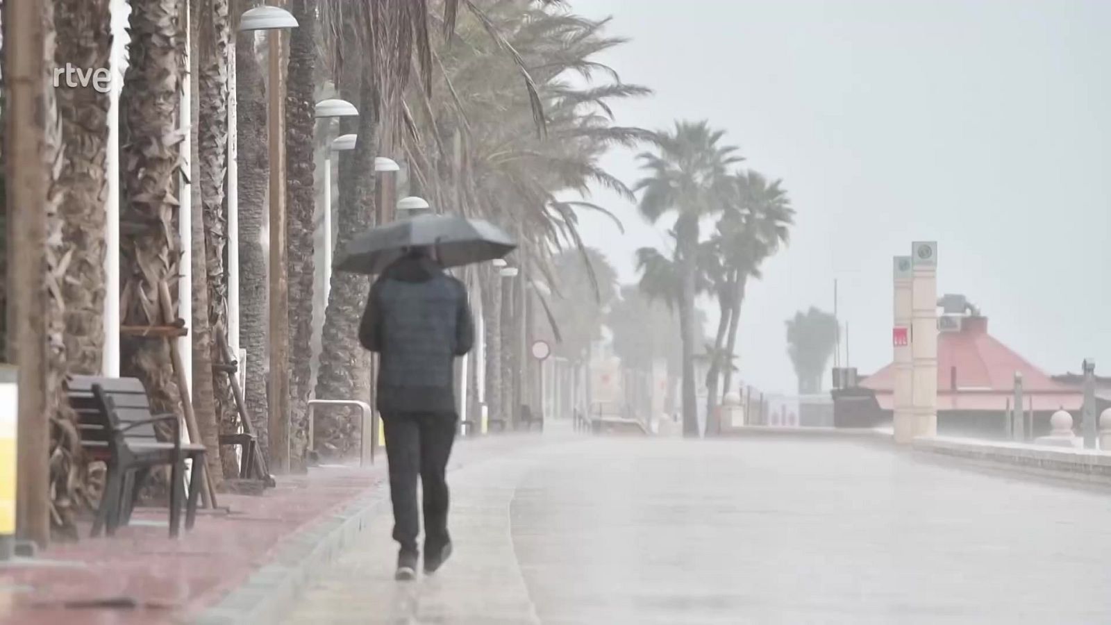 Aquí la Tierra - 05/03/25 - ver ahora