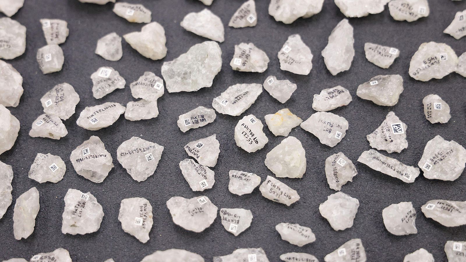 Descubren las primeras hachas de hueso de la historia | Ver