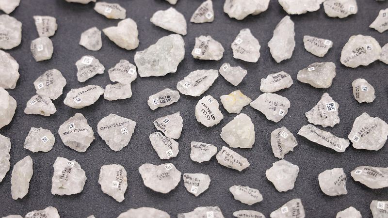 Descubren las primeras hachas de hueso de la historia | Ver