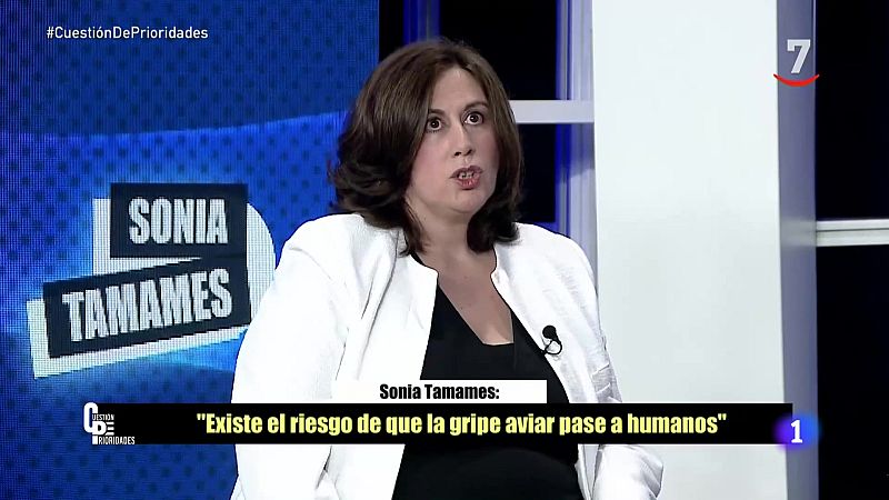 Castilla y León en 1' | Ver