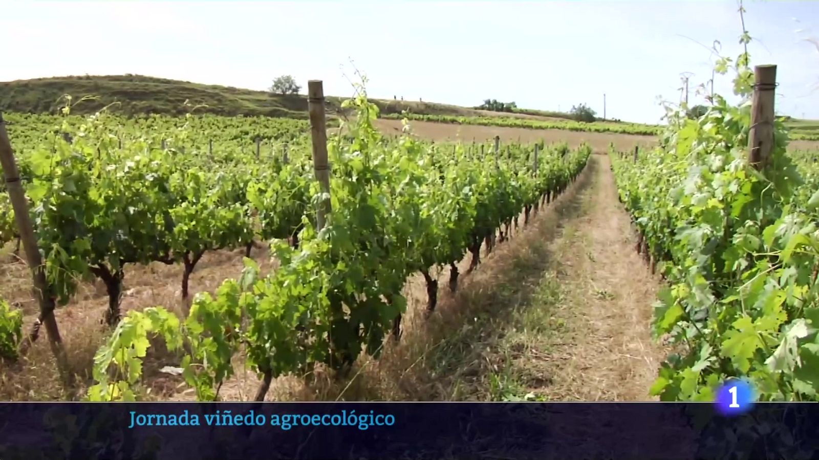 Informativo Telerioja - 07-03-2025 - ver ahora | Ver