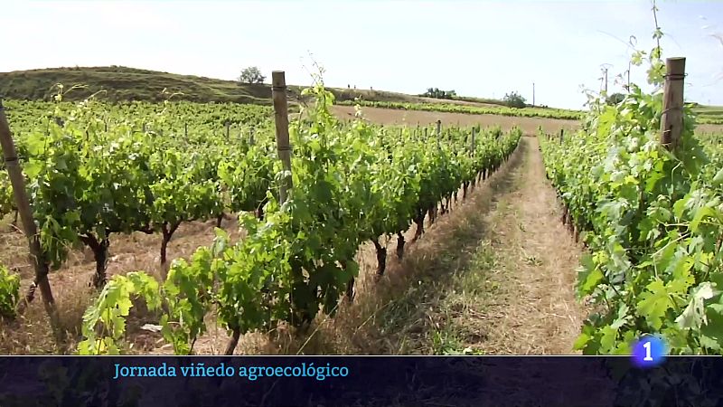 Informativo Telerioja - 07-03-2025 - ver ahora | Ver