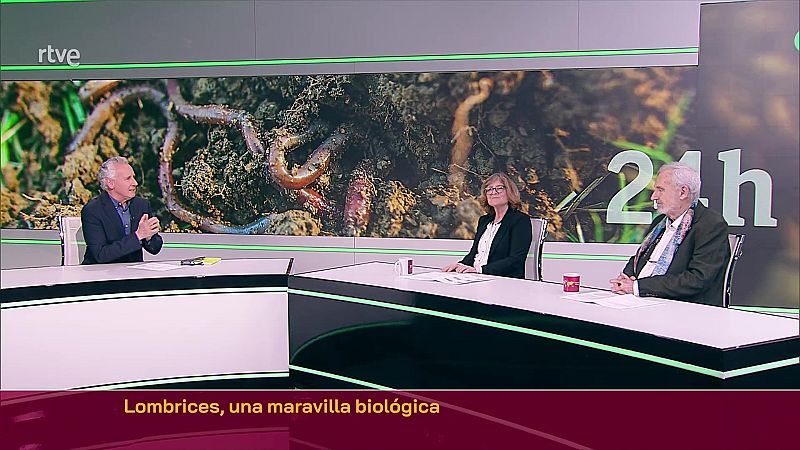 Objetivo Planeta - Lombrices, una maravilla biolgica - ver ahora