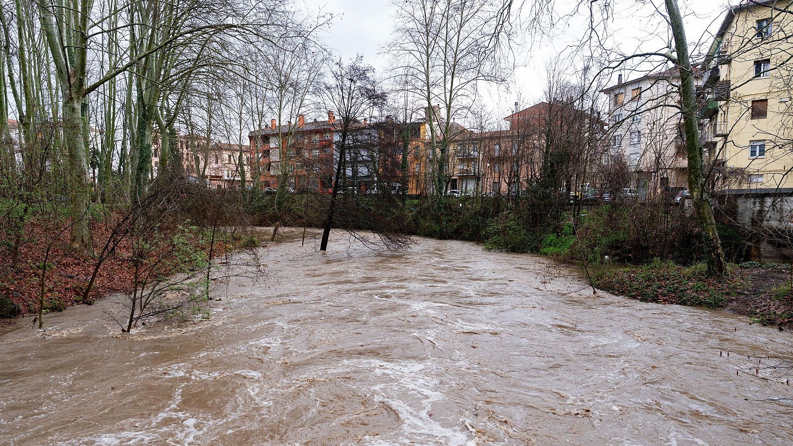 Informativo 24 horas - 14h - 09/03/25 - ver ahora