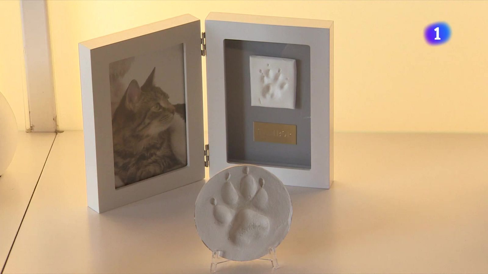 Tanatoris per a animals - L'Informatiu | Veure