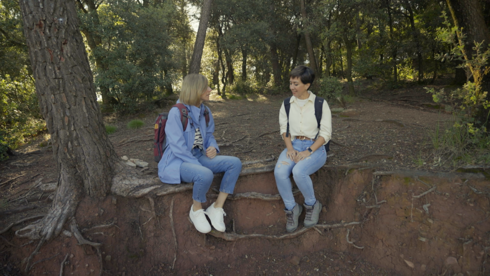 Mapes Mentals - Poso límits | RTVE Catalunya | Veure