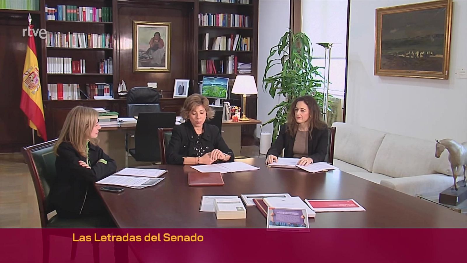 Letradas del Senado | Ver