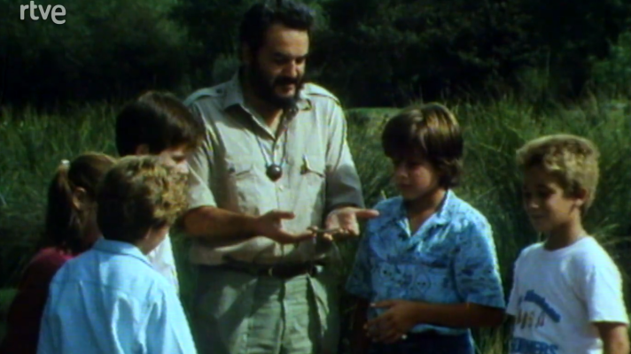 En la naturaleza - Los ríos