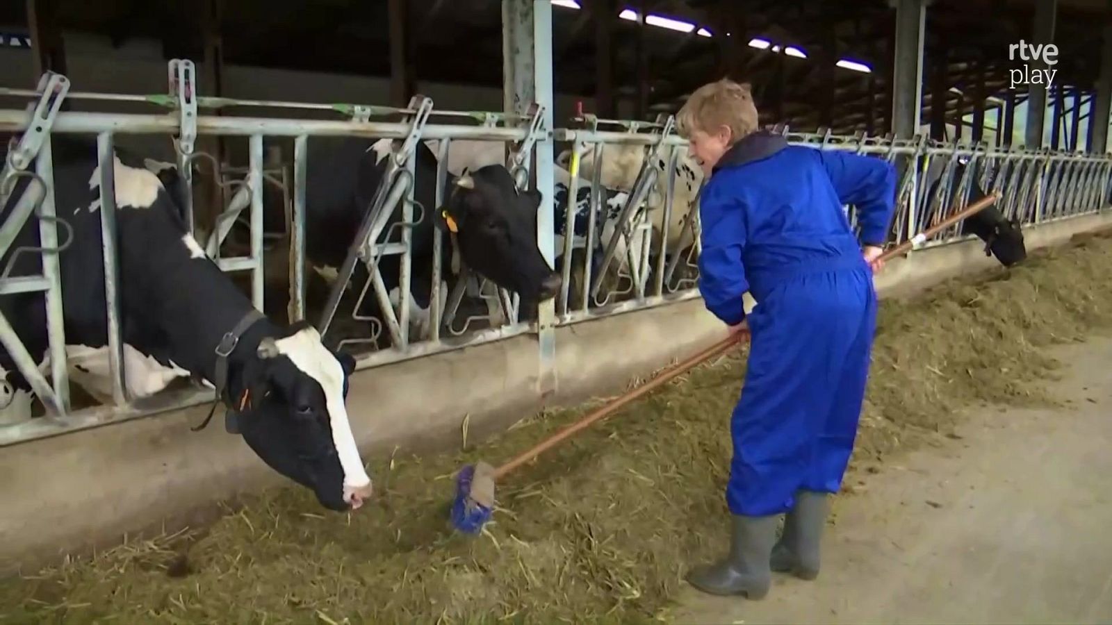 Vocabulari animal en català amb Chelo García-Cortés | L'altaveu - L'altaveu | Veure