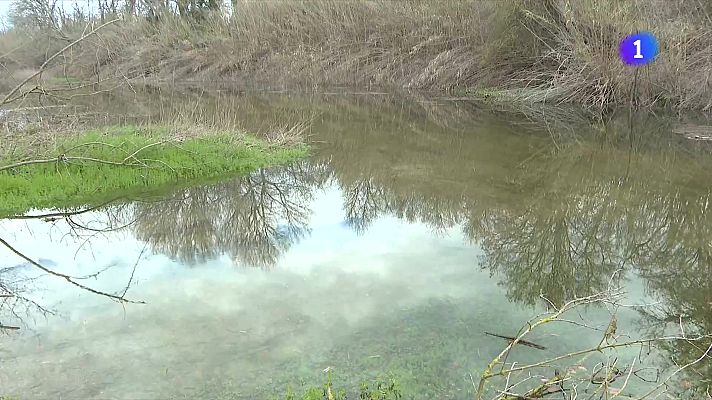 L'Informatiu - L'Informatiu 2 - 11/03/2025