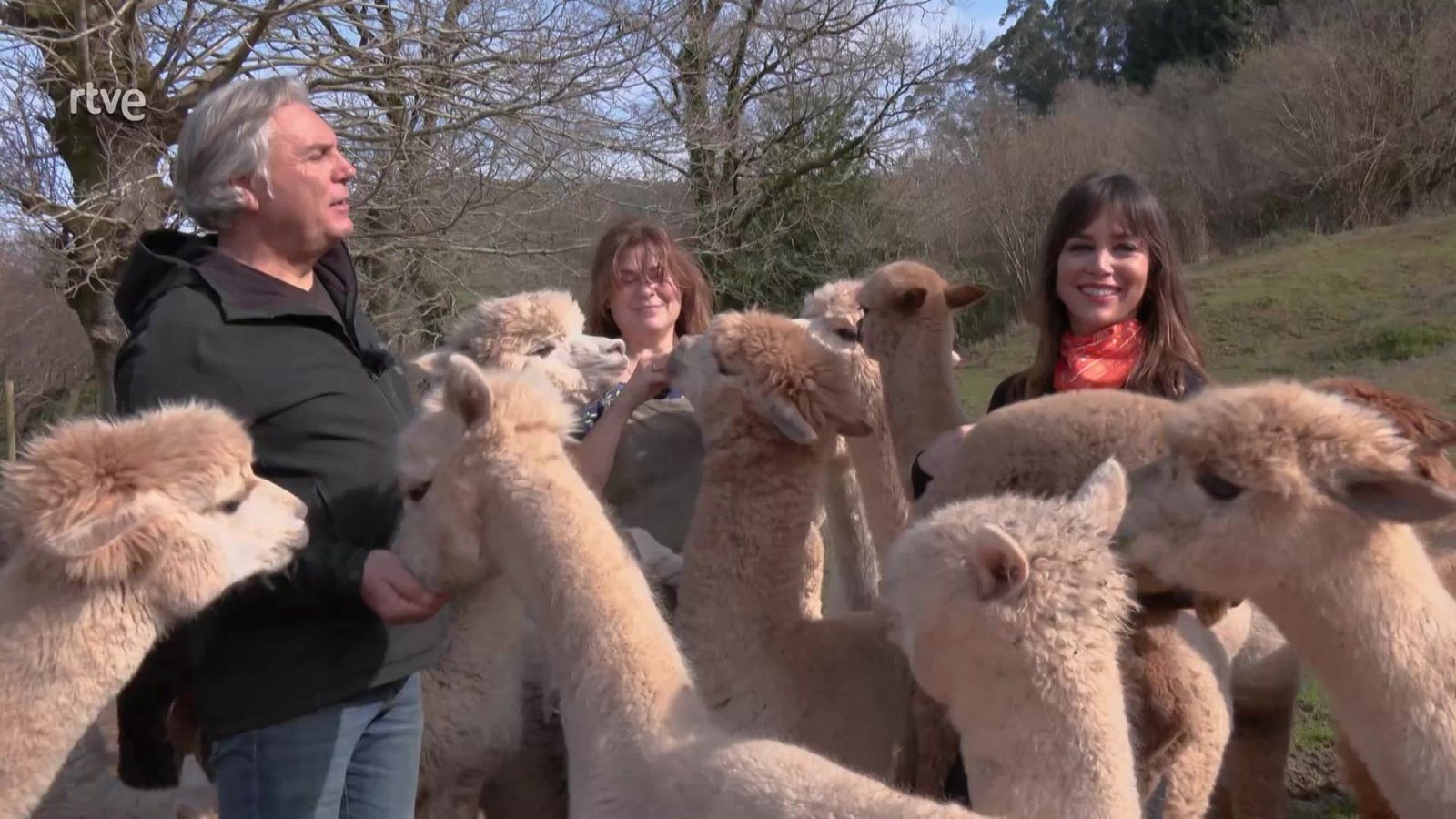 ¡ Alpa-cantabra! - Aquí la Tierra | Ver