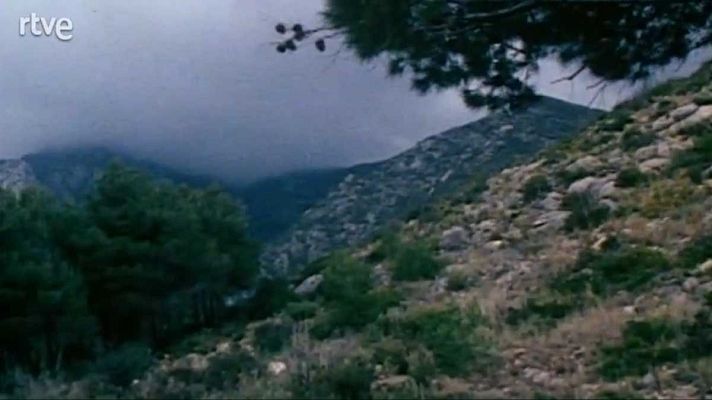 Usted, por ejemplo - 16/6/1984