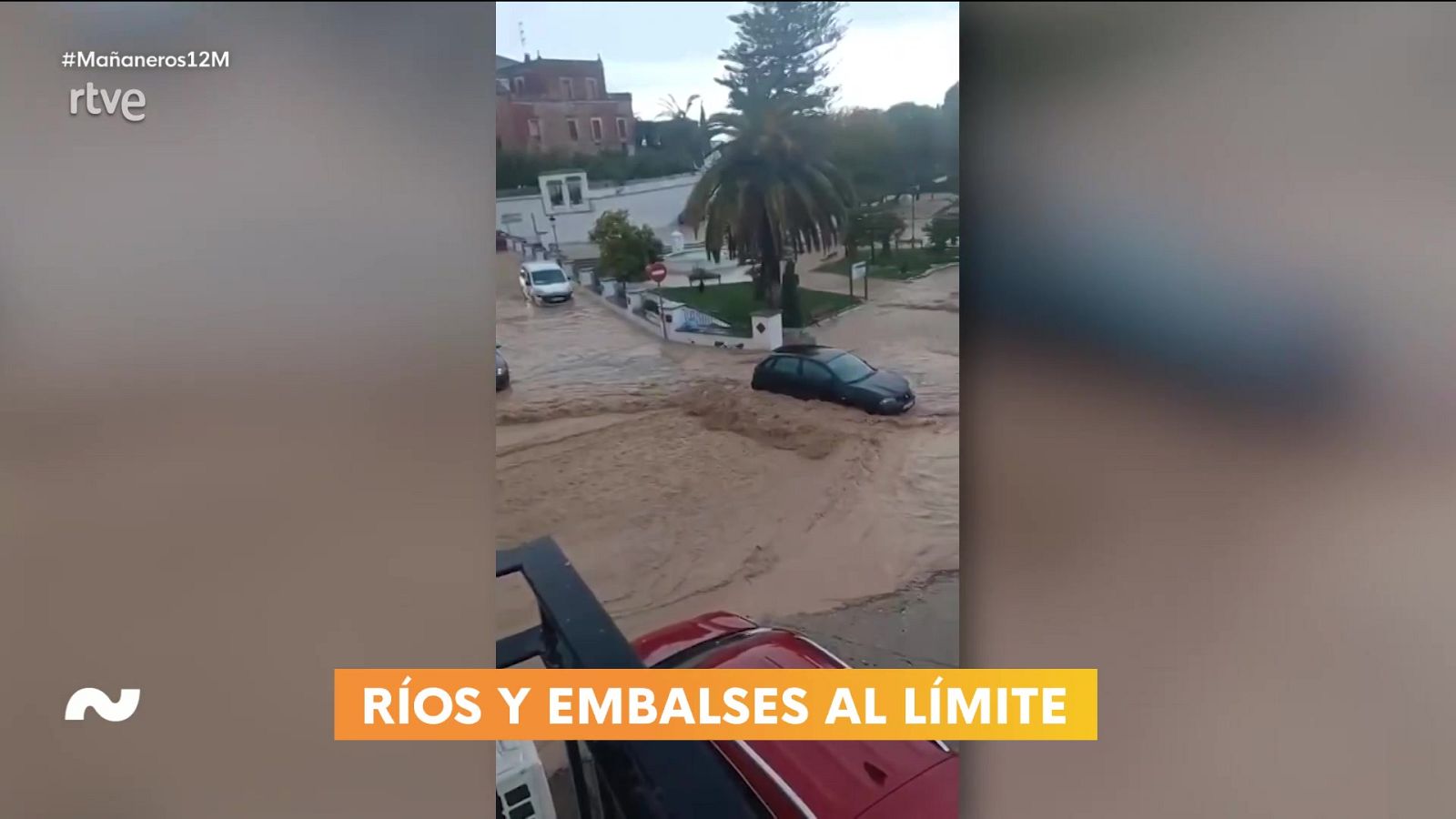 Mañaneros - Programa 372 - ver ahora