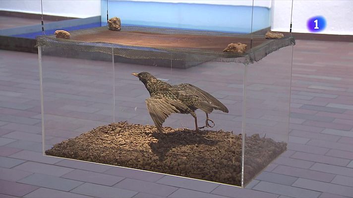 L'Informatiu - Fina Miralles, Susana Solano i Eva Lootz tornen a la Fundació Miró amb 'Entre dos patis'