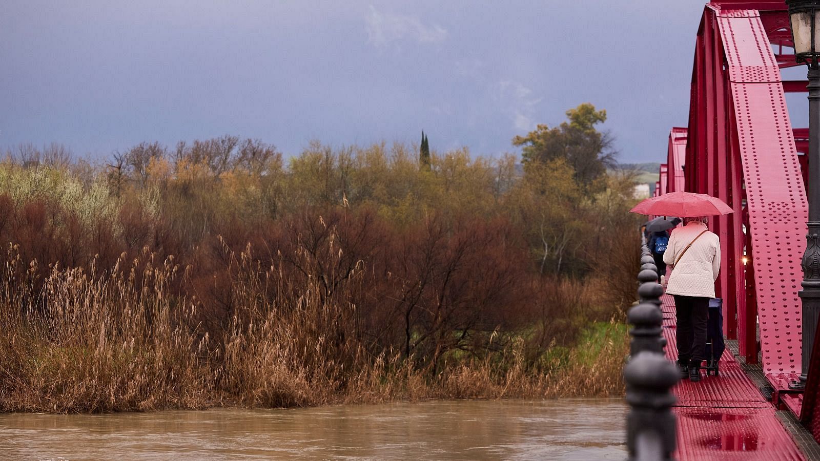 El tiempo matinal - 13/03/2025 - El tiempo | Ver