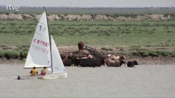 Los ríos - Guadalquivir (III)