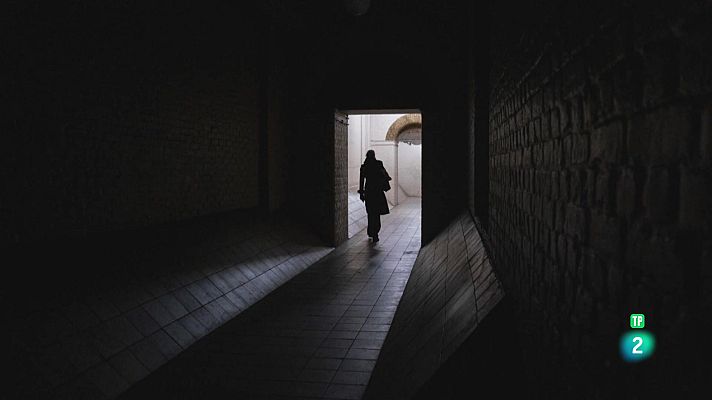 La aventura del Saber - Boek Visual: Bego Amaré