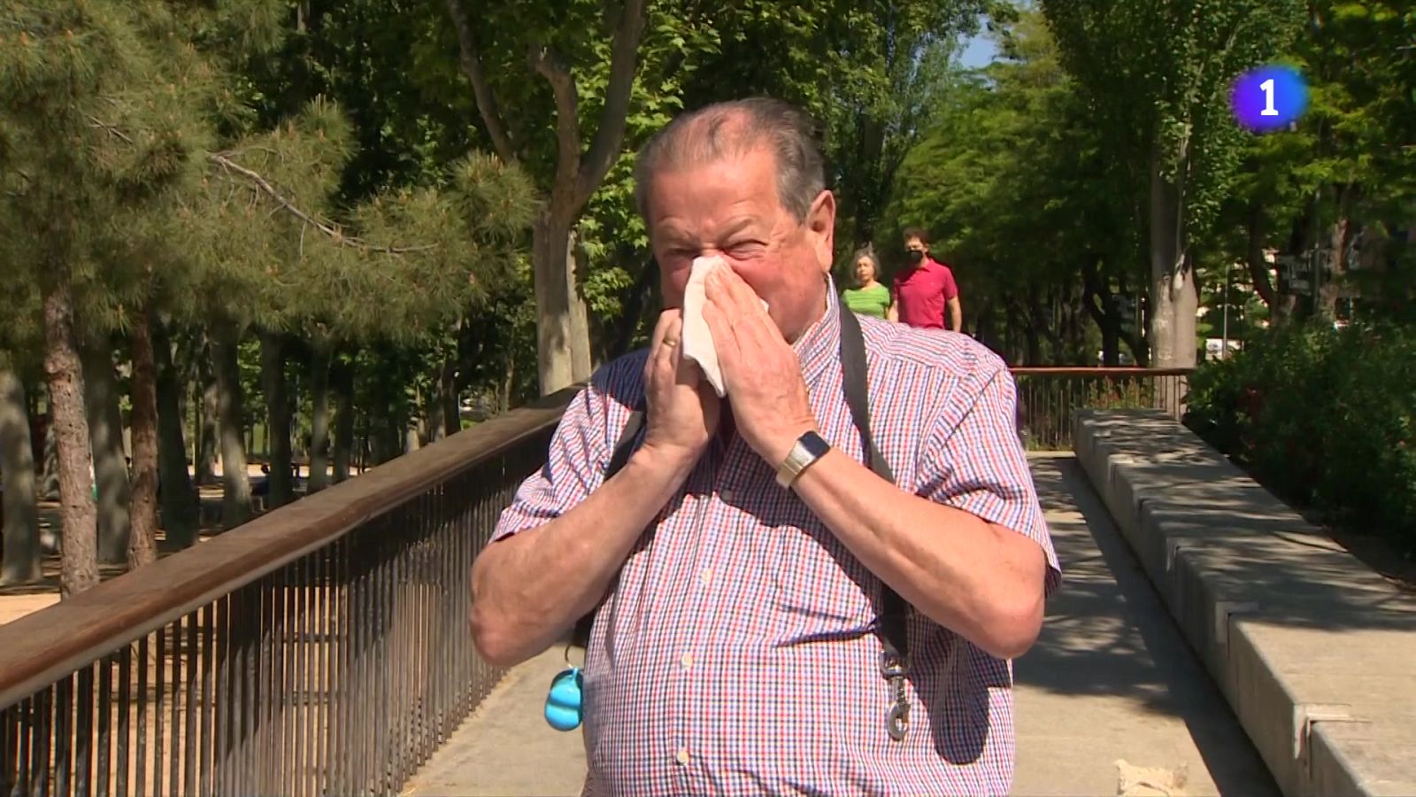 Arriben les al·lèrgies de primavera, especialment intenses - L'Informatiu | Veure