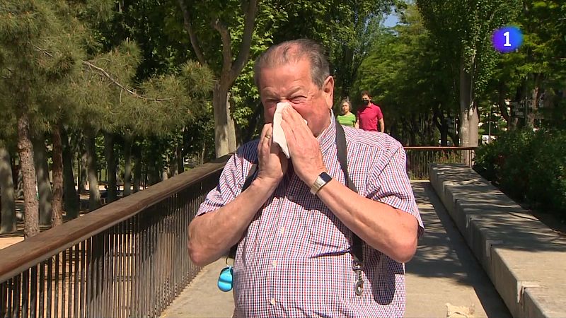 Arriben les al·lèrgies de primavera, especialment intenses - L'Informatiu | Veure