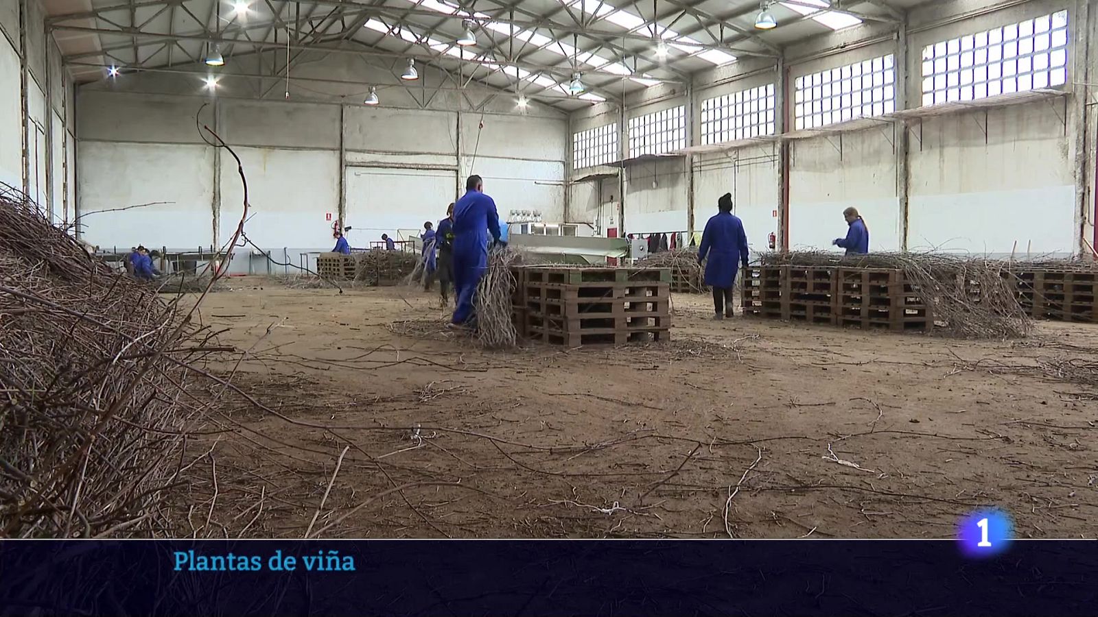 Informativo Telerioja 2 - 13-03-2025 - Informativo Telerioja | Ver