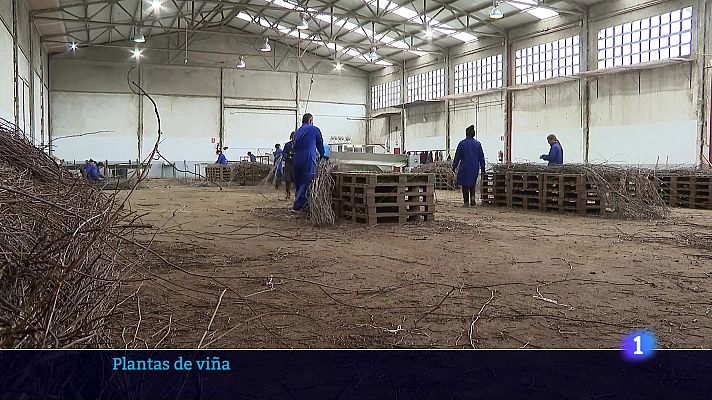 Informativo Telerioja - Informativo Telerioja 2 - 13-03-2025