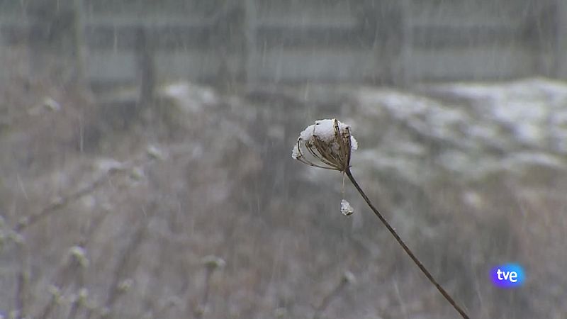 Asturias en 2' - 13/03/25 | Ver