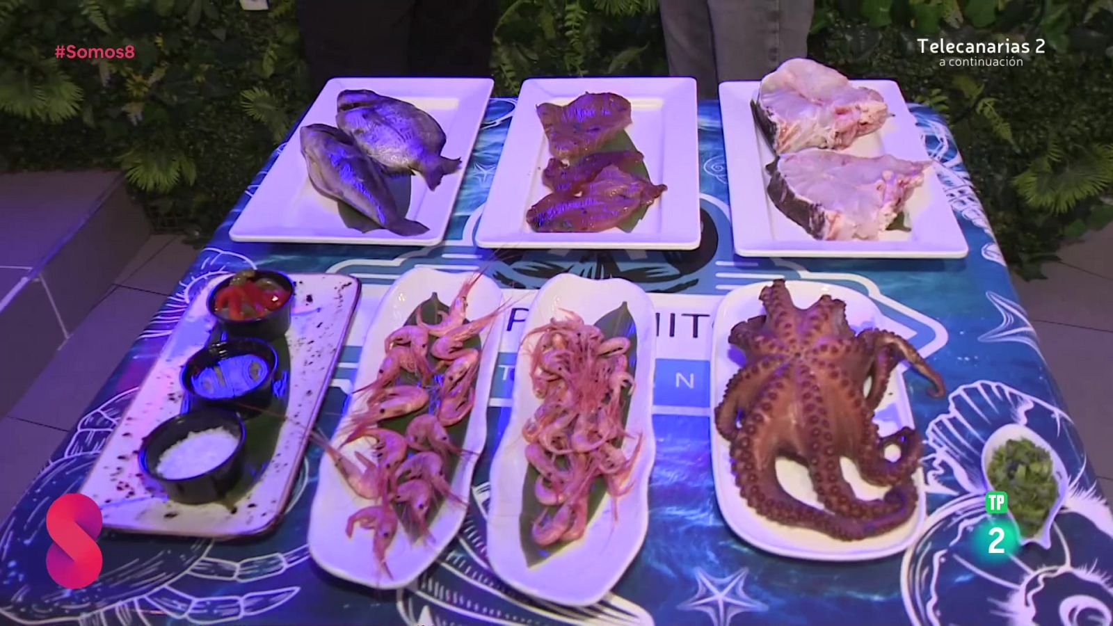 Somos 8 - 13/03/2025 - Somos 8 | Ver