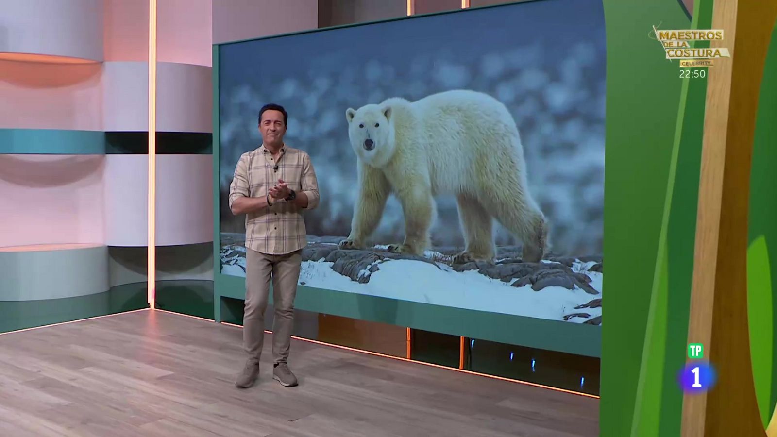 El osito Mika - Aquí la Tierra | Ver