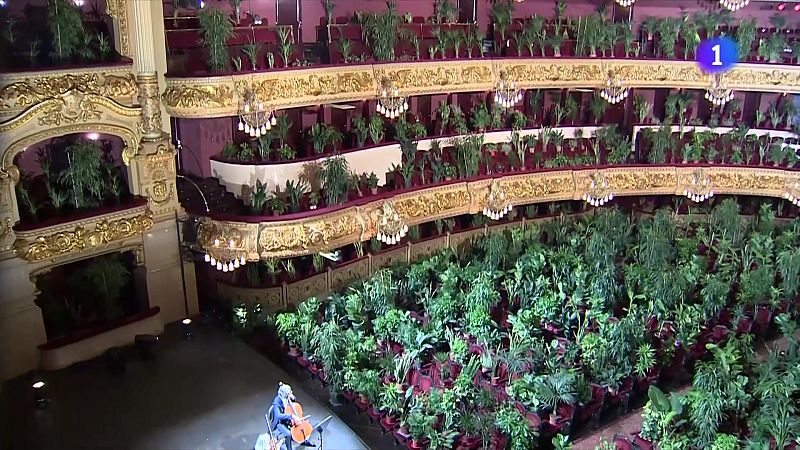 La cultura postpandèmia: del confinament als rècords - L'Informatiu | Veure