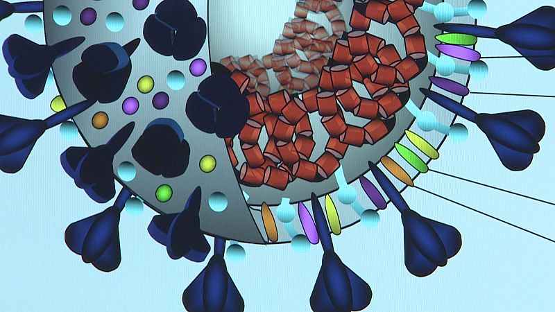 L'Informatiu de la Comunitat Valenciana 1 - 14/03/25 | Ver