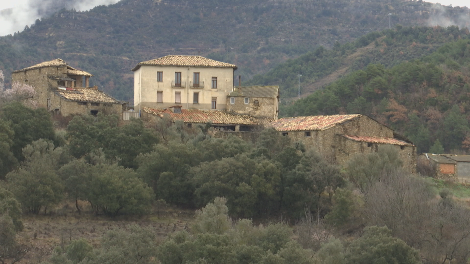 El mundo rural, un espacio de refugio durante la pandemia | Ver