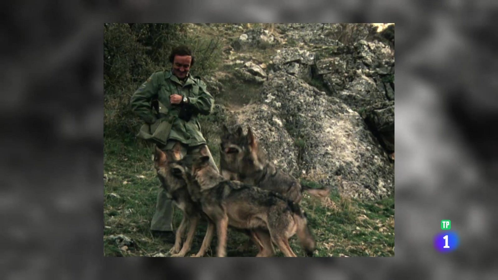 Inolvidable Félix - Aquí la Tierra | Ver