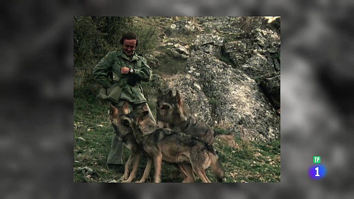 Aquí la Tierra - Inolvidable Félix