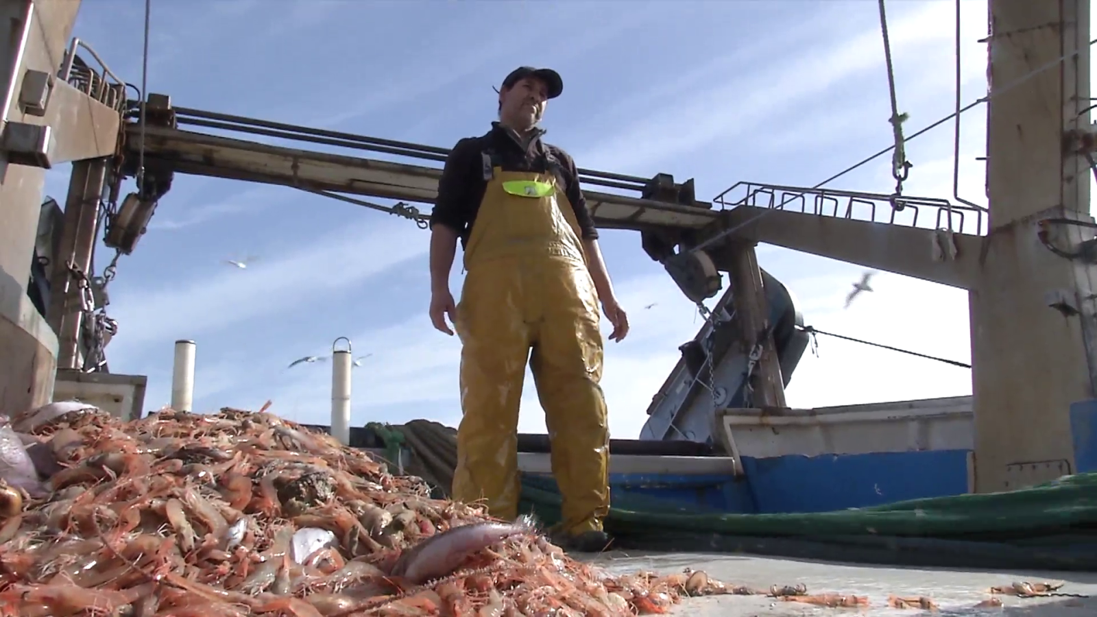 Comando actualidad - La mar revuelta - ver ahora