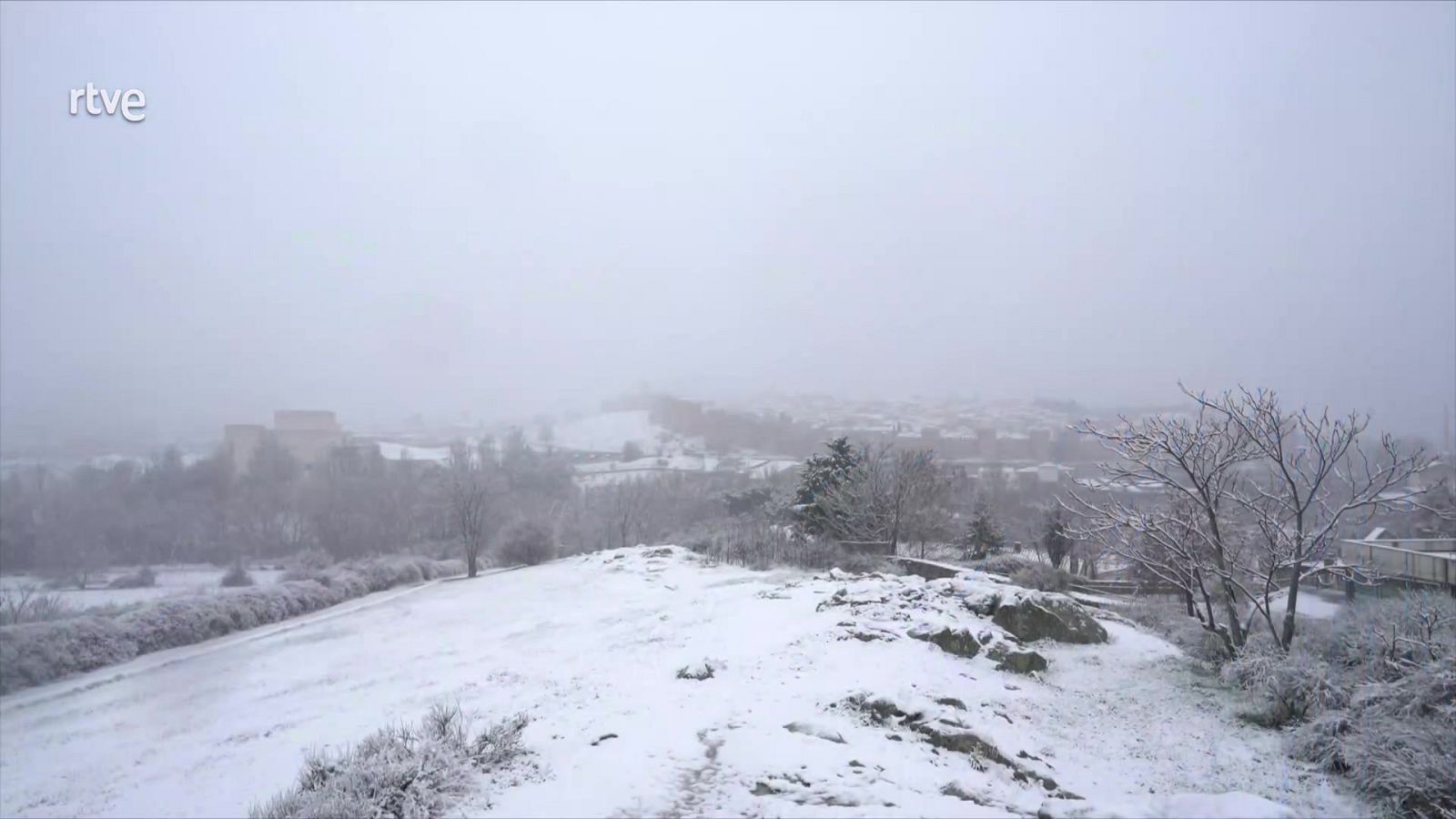 Telediario - 15 horas - 16/03/25 - ver ahora