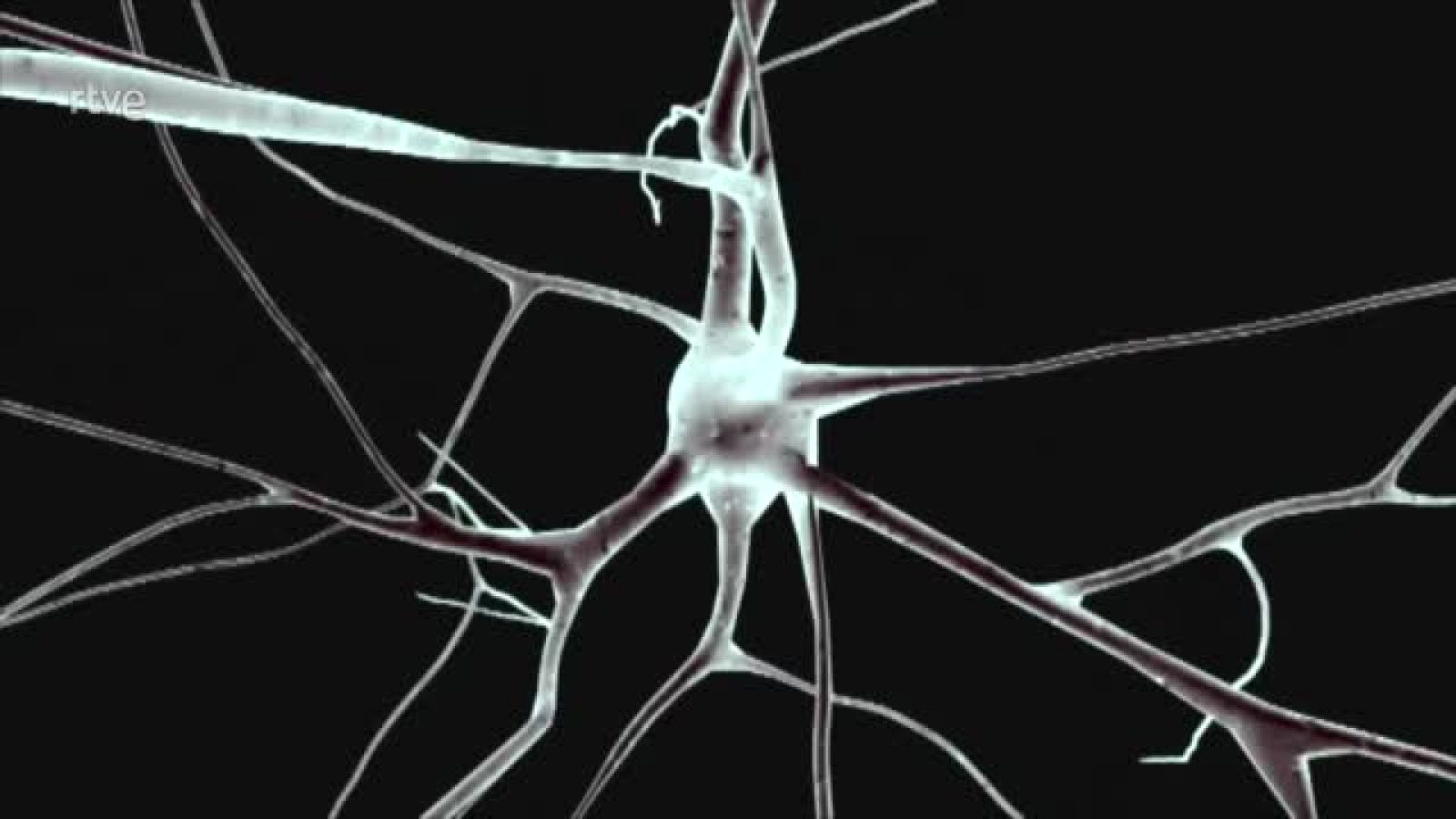 El cerebro puede cuidarse a sí mismo - Modo Digital | Ver