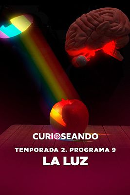 Curioseando - La luz