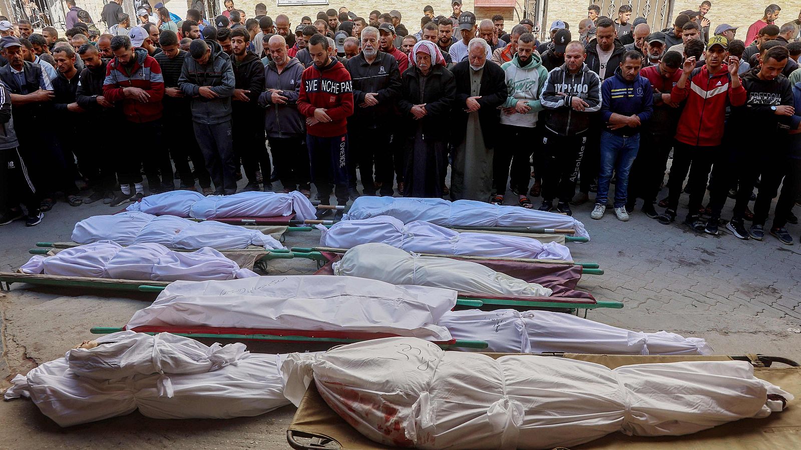 Guerra en Gaza: entrevista a José Vericat (RIE) - Informativo 24h | Ver