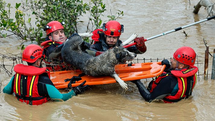 Telediario 1 - La borrasca Laurence deja al menos un muerto y dos desaparecidos en Andalucía