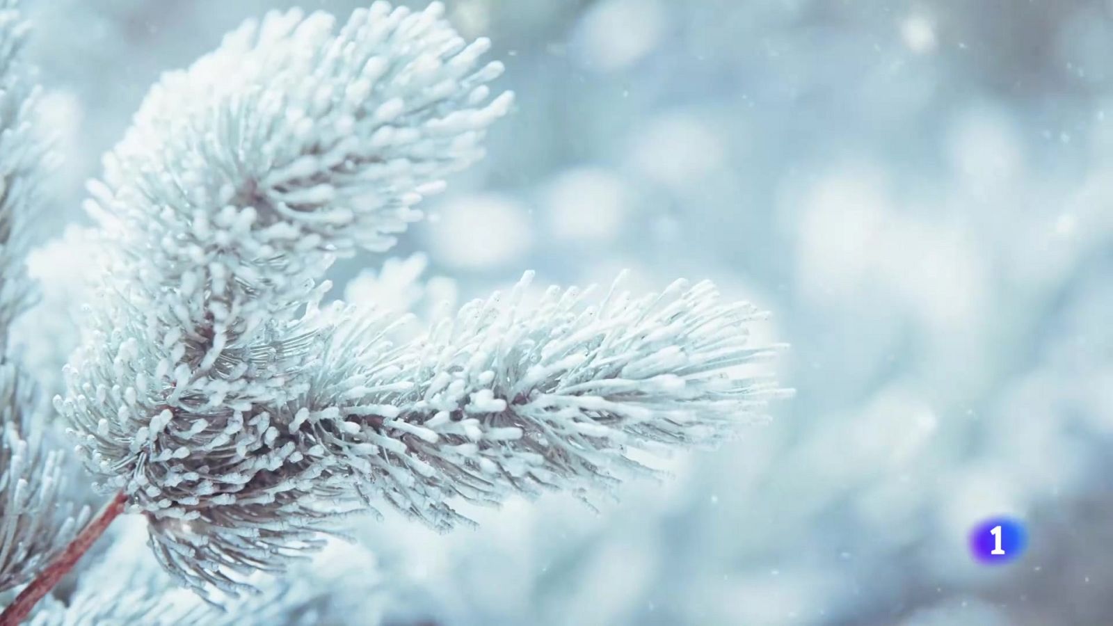 El tiempo en Galicia    18-03-2025 | Ver