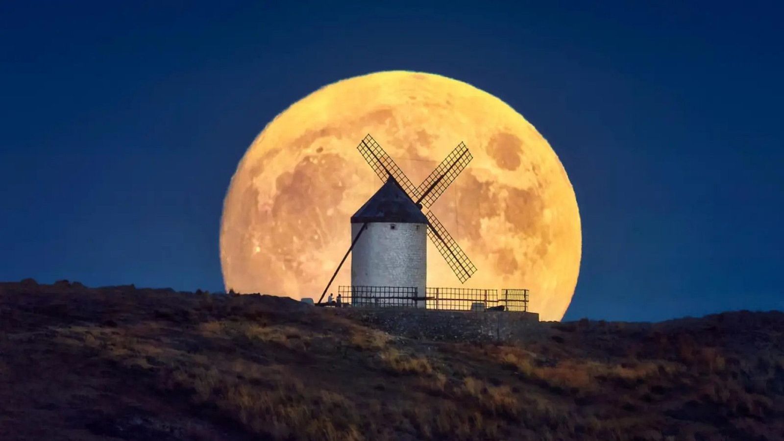 Jesús García Flores. FIAP | Ver